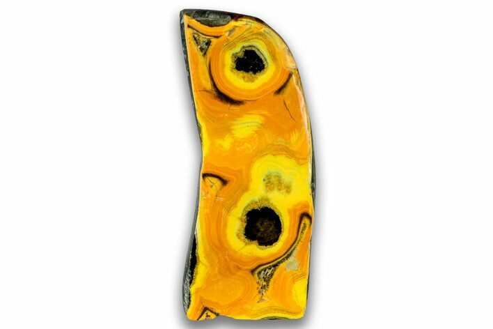 Very Vibrant, Free-Standing Polished Bumblebee Jasper #324965